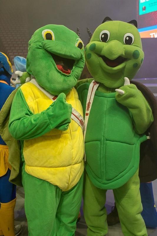 Two turtle mascots posing together